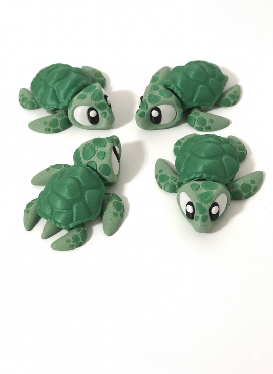 Slater the Sea Turtle